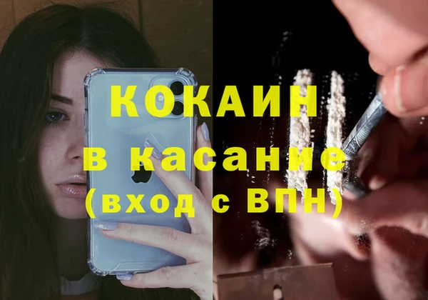 твердый Аркадак