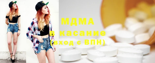 мдпв Ельня