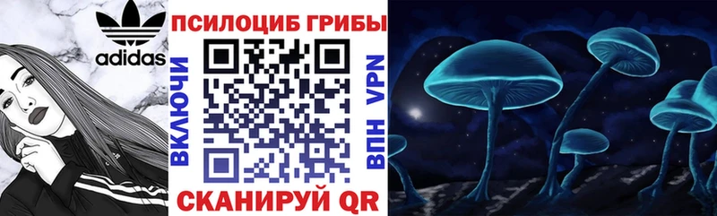 Псилоцибиновые грибы Psilocybe  гидра ССЫЛКА  Тайга 